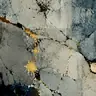 Ink