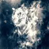 Ink